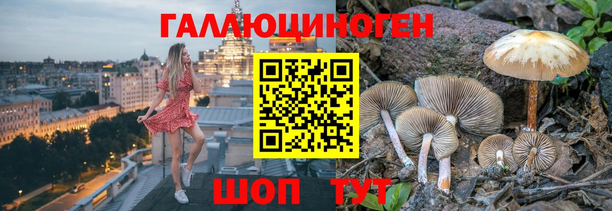 Тимашёвск  Псилоцибиновые грибы MAGIC MUSHROOMS  Вход с VPN 